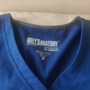 Grey's Anatomy Blue Scrub Top And Bottom